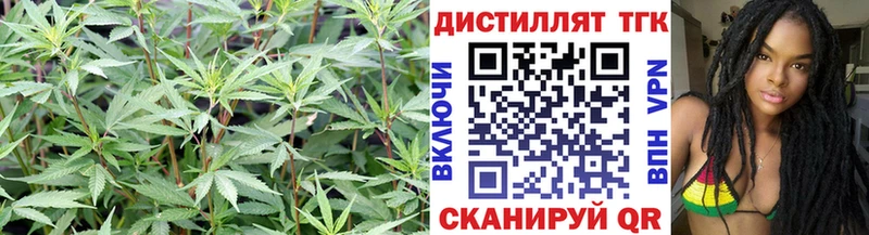 Дистиллят ТГК THC oil  где купить   darknet наркотические препараты  Сысерть 
