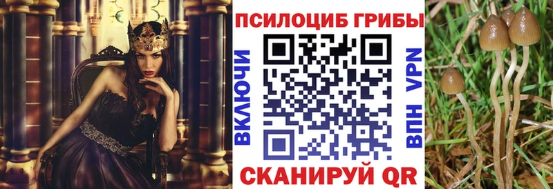 где купить наркоту  Сысерть  ОМГ ОМГ зеркало  Псилоцибиновые грибы прущие грибы 